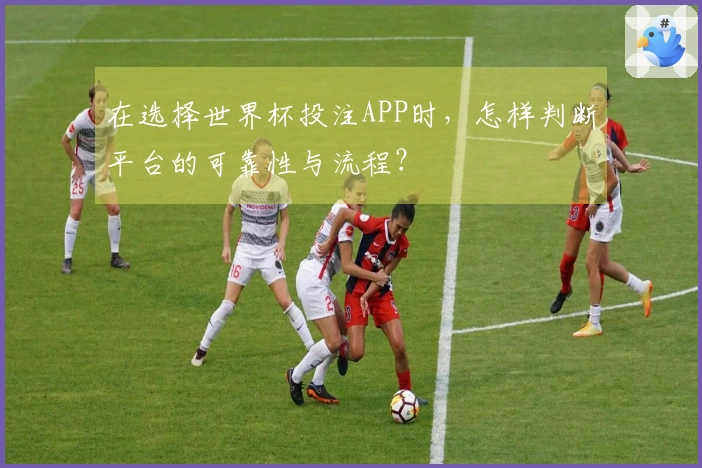 在选择世界杯投注APP时，怎样判断平台的可靠性与流程？