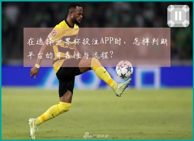 在选择世界杯投注APP时，怎样判断平台的可靠性与流程？
