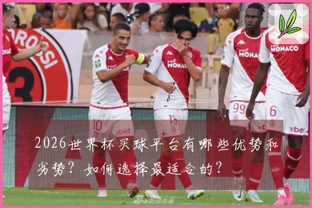 2026世界杯买球平台有哪些优势和劣势?如何选择最适合的?